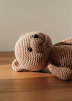 Nini Bear Cosy Welcome Set