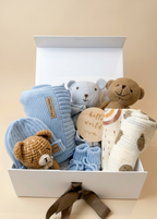 Nini Bear Deluxe Newborn Gift Set - Sky Mist